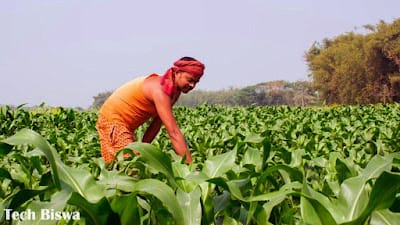 PM Kisan Yojana update 2025 21st installment farmers e-KYC Aadhaar linking